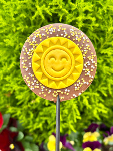 *New* School’s Out For Summer Lollipop